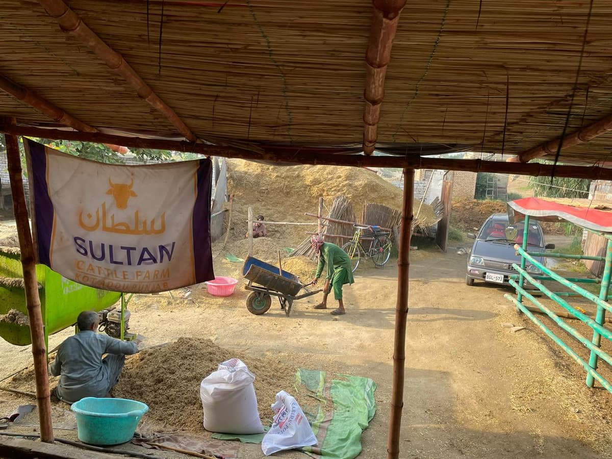 Sultan Cattle Farm — feed preparation area